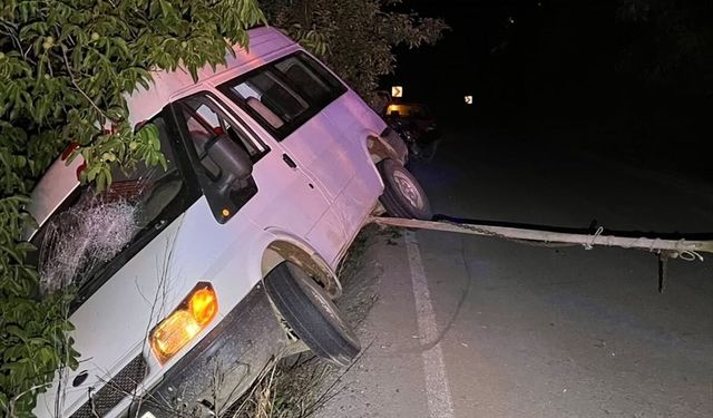 Ağaca çarpan minibüsteki 2 kişi yaralandı
