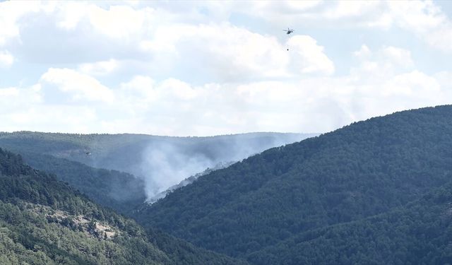 Kütahya'da orman yangını: Müdahale sürüyor!