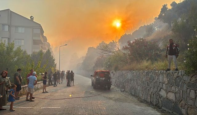Aydın'da zeytinlikler alevlere teslim: Ekipler seferber oldu!