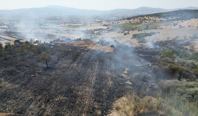 Manisa'da otluk alanda çıkan yangın söndürüldü