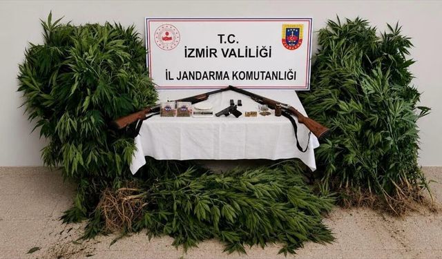 Fotokapan tuzağına düştü!