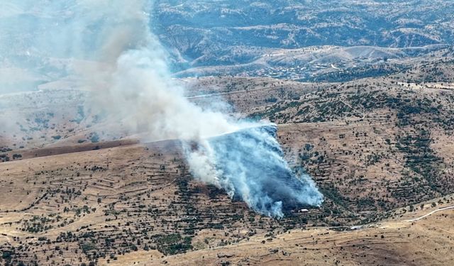Afyonkarahisar'daki orman yangını kontrol altında