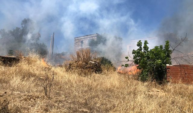 Bodrum'da çıkan orman yangını söndürüldü
