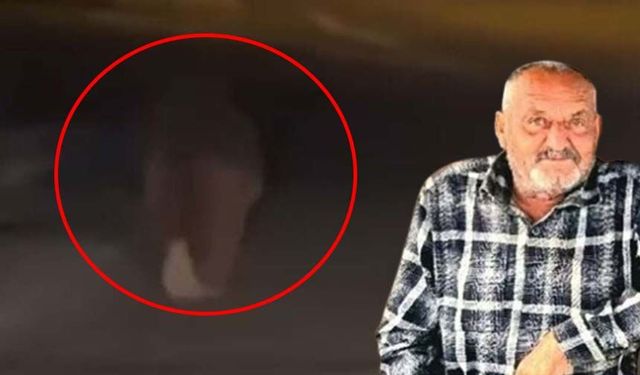 Evinin balkonunda uyurken ayı saldırısına uğradı: Yaşlı adamın acı sonu!