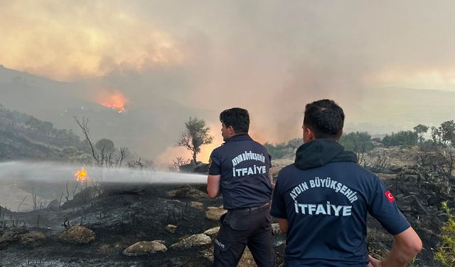 Aydın İtfaiyesi 1 haftada 446 yangına müdahale etti