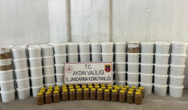 Hijyenik olmayan koşullarda üretilen tonlarca salçaya el konuldu
