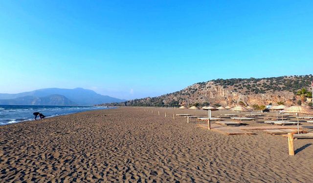 İztuzu Plajı'nda caretta carettaların yuva sayısı 400'e ulaştı