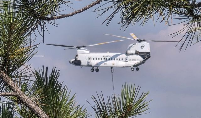 Kütahya'daki orman yangını kontrol altında: 70 dekar alan zarar gördü