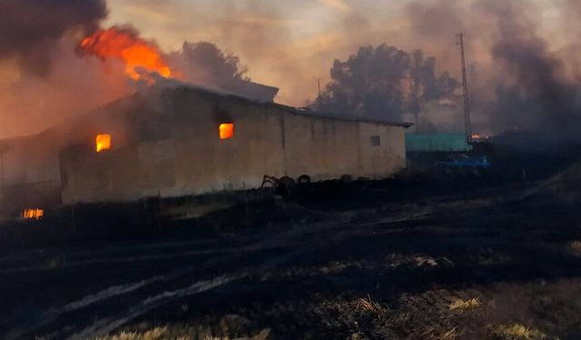 Sandıklı'da korkutan yangın: Bağ evi ve besihane küle döndü