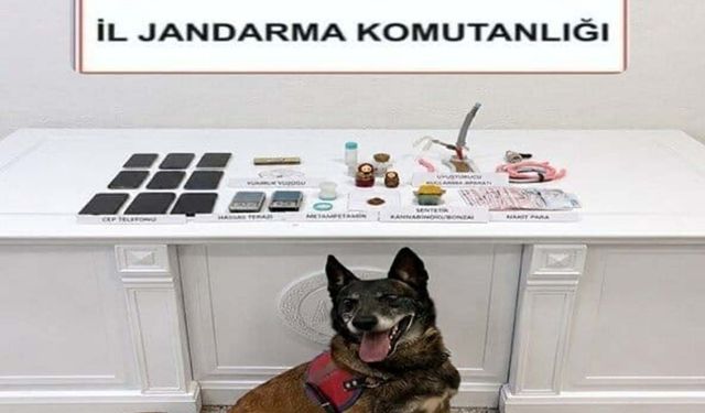 Muğla'da uyuşturucu baskını: Zehir tacirlerine tutuklama