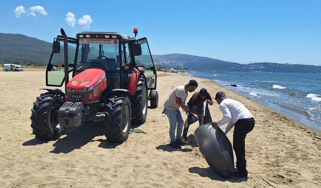 Selçuk sahillerinde temizlik mesaisi devam ediyor
