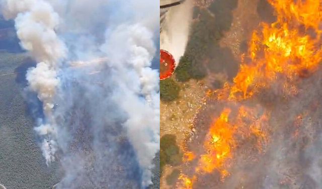Manisa'da orman yangını: Yangının enerjisi düşürüldü!