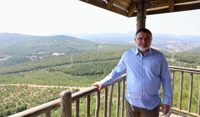 AK Partili Saygılı’dan orman raporu: İzmir'de 114 bin hektar yeşillendirildi