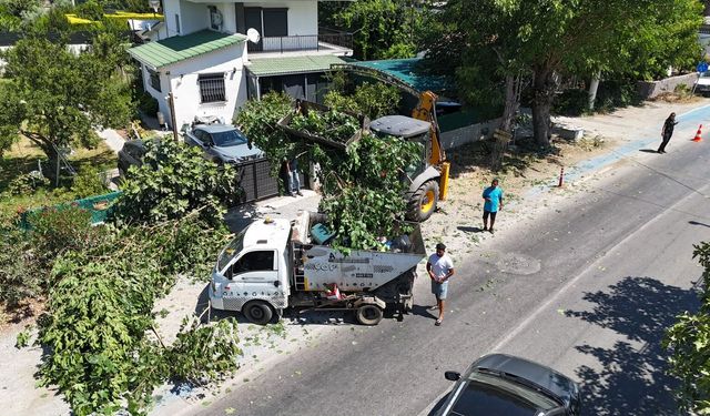 Seferihisar’da hizmet atağı: İlçenin dört bir yanında çalışmalar sahada