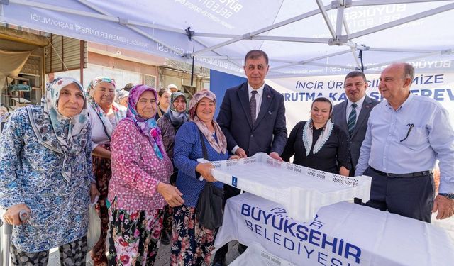 Büyükşehir'den üreticiye kerevet desteği!