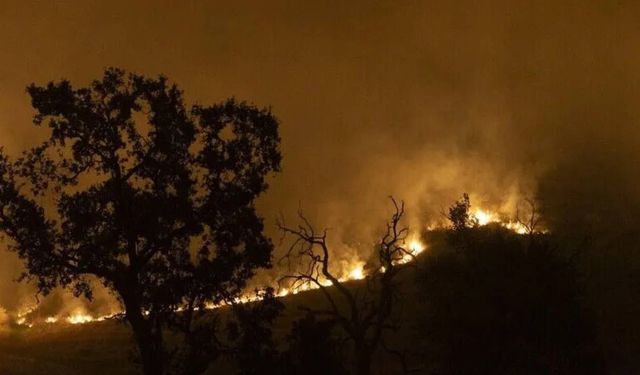 ABD'de yangına müdahale eden helikopter düştü