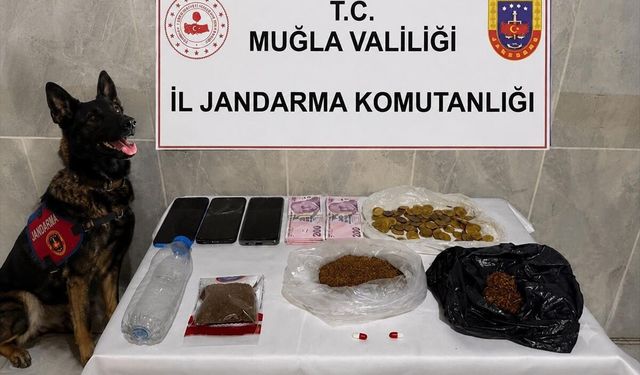 Muğla'da uyuşturucuya geçit yok: 33 tutuklama