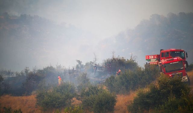 Uşak'ta yangın paniği: Müdahale sürüyor