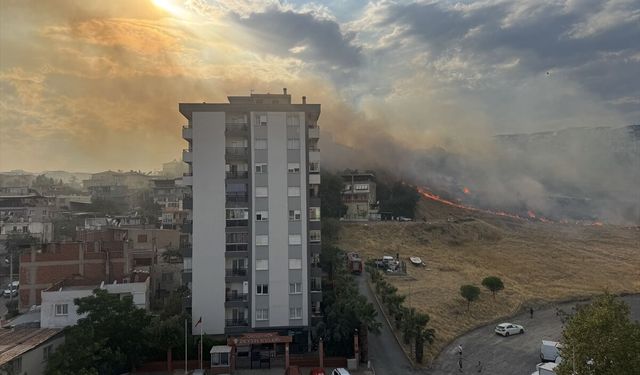 İzmir'de otluk alanda çıkan yangına müdahale ediliyor