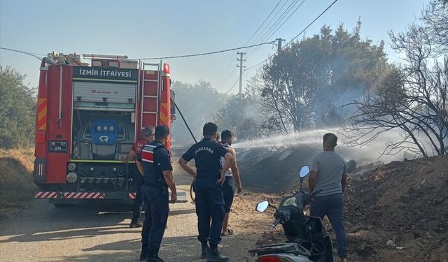 Zeytinlik alanda çıkan yangın kontrol altında!