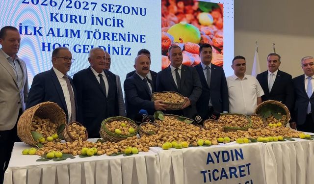Aydın’da incir sezonu başladı: İlk ürün 850 TL