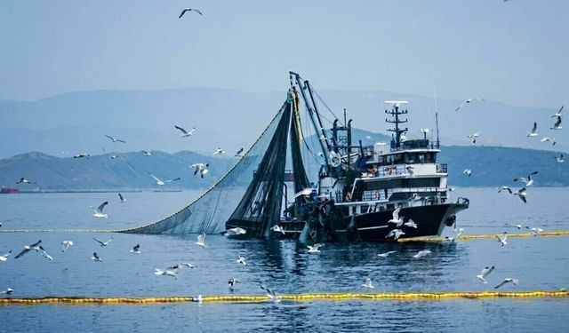 İzmirli balıkçılardan palamut bereketi beklentisi