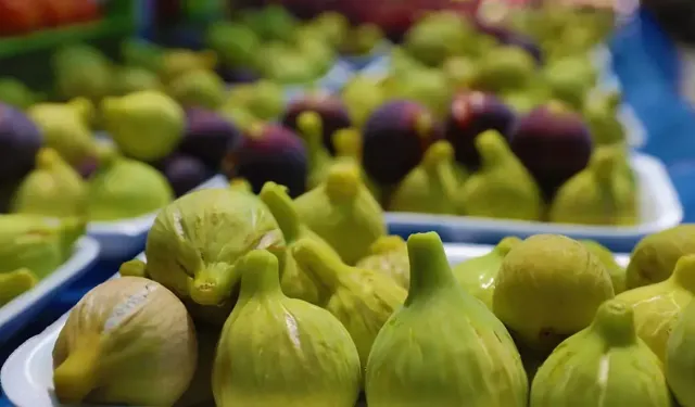 Bardacıkta rekolte beklentisi tutmadı!