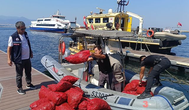 Yasa dışı yollarla avlanılan 560 kilo kara midyeye el konuldu!