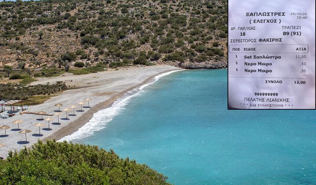 Ömür ŞANLI yazdı... Bir fişle ne Sakız Adası’nı ne de Türkiye’yi anlatabilirsiniz