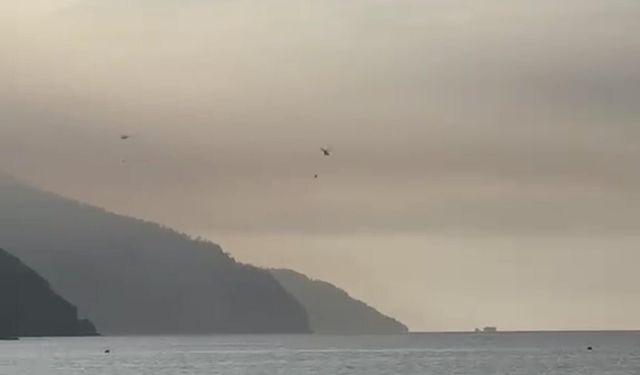 Marmaris'teki orman yangını kontrol altında!