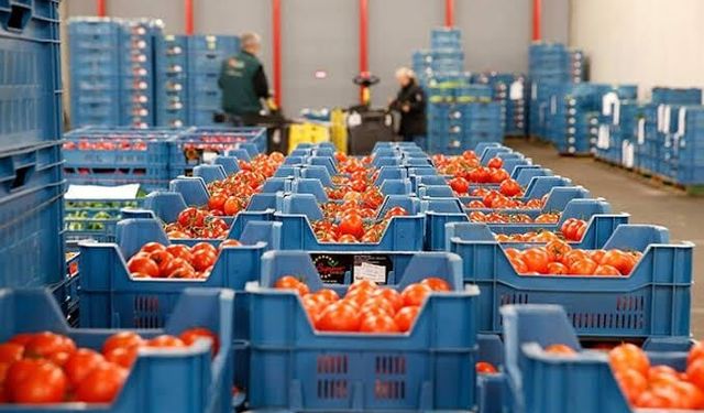 Yaş sebze meyvede 128 ülke detayı... Ege ihracatı para bastı!