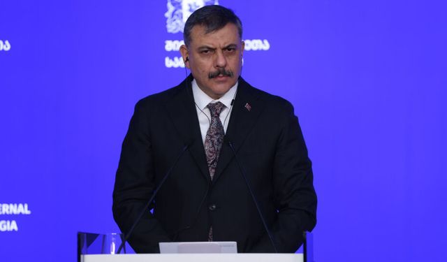 Çiftçi: "Kırmızı bültenle aranan 22 kişiye operasyon düzenlendi"