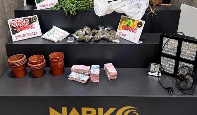 İzmir'de evinde Hint keneviri yetiştiren şüpheli tutuklandı