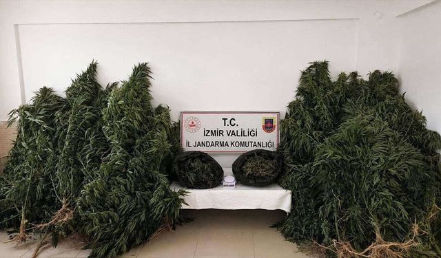 Uyuşturucu operasyonunda yakalanan şüpheli tutuklandı!