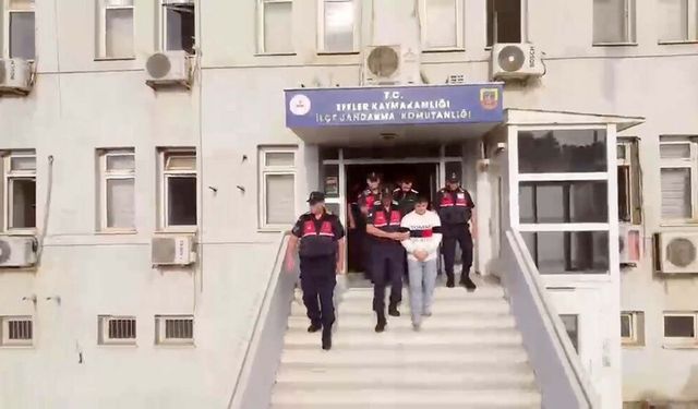 Yasa dışı bahis operasyonu: 12 tutuklama