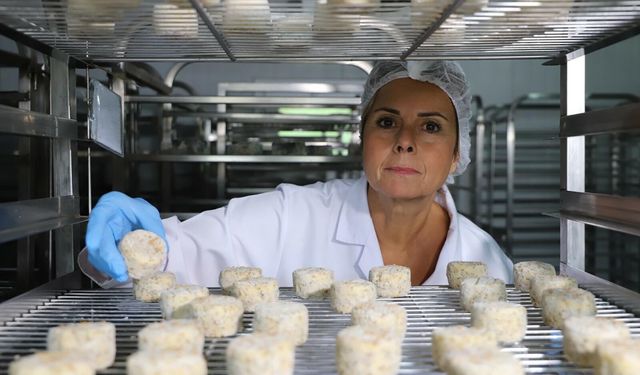 Fransız tekniğiyle Türk peyniri üretiyor