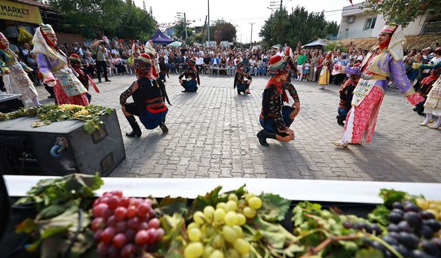 Gökçealan coğrafi işaretli Osmancık üzümü ile şenlendi