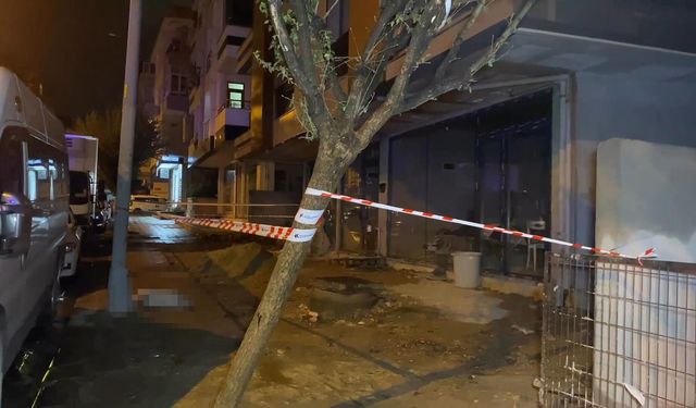 Kaldırımda yürürken dehşeti yaşadı: Köpeği öldü, kendisi yaralandı!
