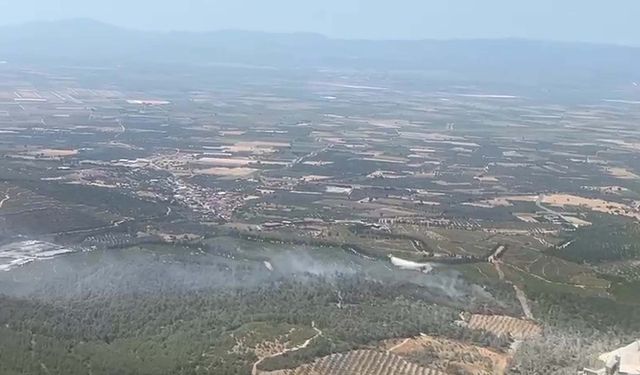 Manisa'daki orman yangını kontrol altına alındı!