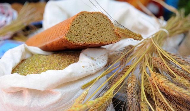 Seferihisar'da 9. Ata Ekmeği ve Armola Şenliği