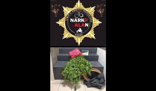 İzmir'de 'zehir' evine baskın: 1 tutuklama!