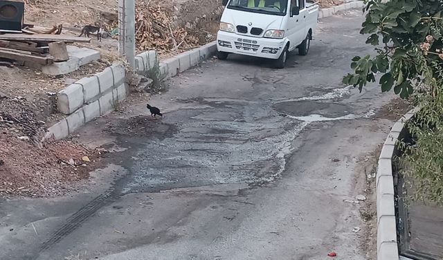 Karabağlar'da vatandaşa kanalizasyon çilesi: Bir aydır çözüm bekliyorlar!