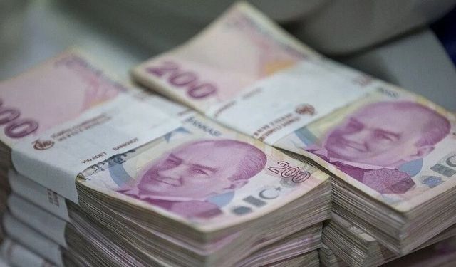 Siyasi partilerin alacağı hazine yardımı belli oldu