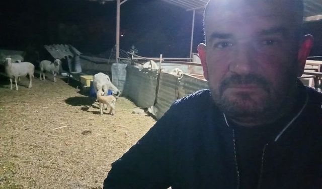 Koyunlarını otlatırken ölü bulundu!