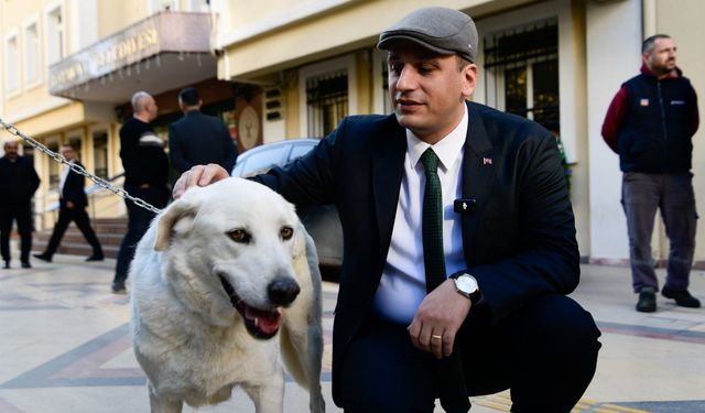 Ege'deki can dost krizi için Eşki'den açıklama: Çizgimizden bir milim sapmadık!