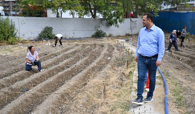 Kent bostanlarında yeni sezon... Bornova’da kadın eliyle kış bereketi!