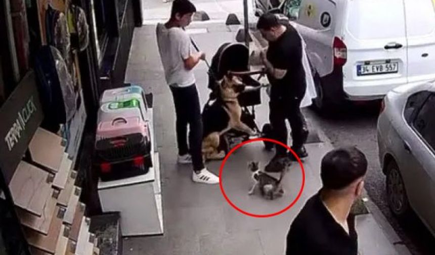 Mahallenin ilgi odağı oldu: Lakabı 'Yedi Bela Hüsnü'