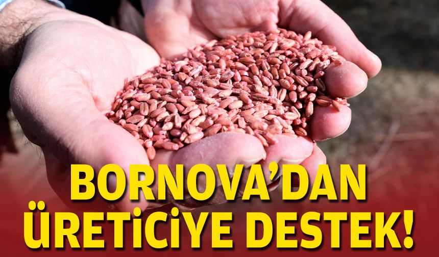 Bornova'dan üreticiye destek!