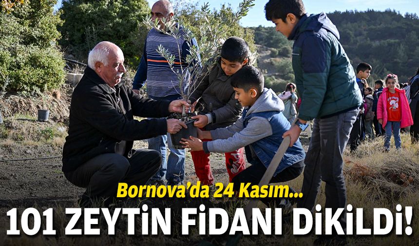 Bornova'da 24 Kasım... 101 zeytin fidanı dikildi!