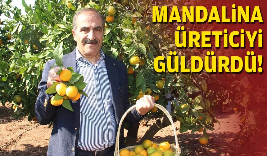 Mandalina üreticiyi güldürdü!